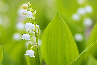 《光环：无限》公布新“带来光明的人”真人预告